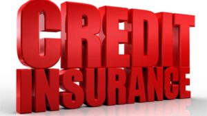 Complete Guide on Credit Insurance – Coverage, Claims & Exclusions